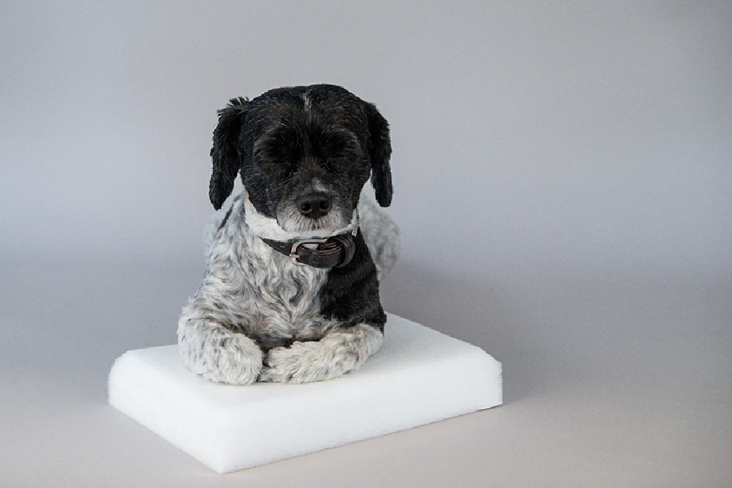 Panneau couché en non-tissé PES blanc pour l'absorption acoustique, sur lequel est assis un petit chien noir et blanc